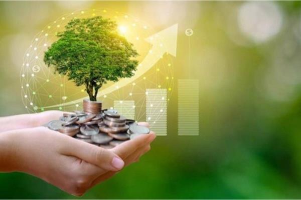 Có nhiều sản phẩm tín dụng xanh khác nhau để các doanh nghiệp lựa chọn